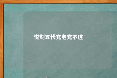 悦刻五代充电充不进