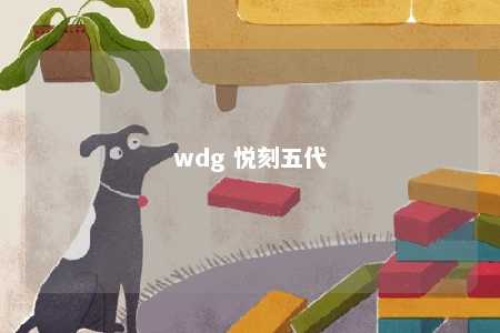 wdg 悦刻五代